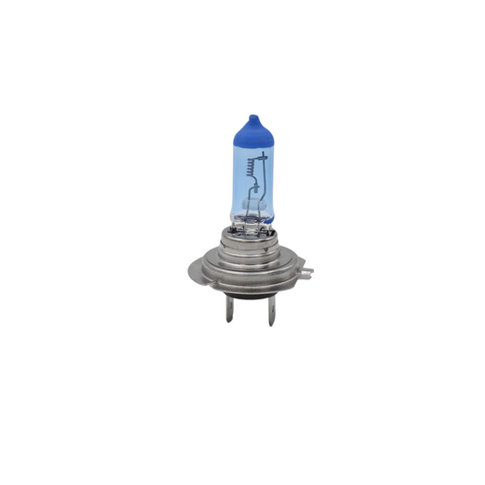 XWV H7 24V 100W